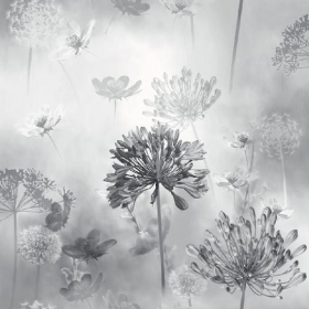 Обои «Spring Meadow Mono»