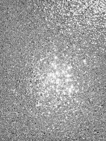 Обои «Sequin Sparkle Silver»
