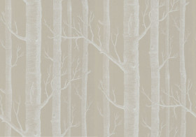 Обои Woods