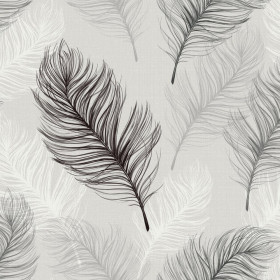Обои «Feathers Grey»
