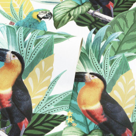Обои «Toucan Jungle»