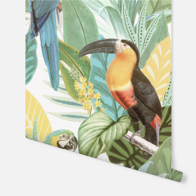 Обои «Toucan Jungle»