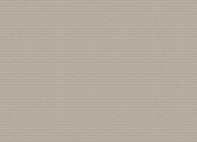Обои «Artsimple Mozart»