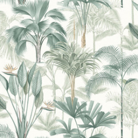 Обои «King Palm»