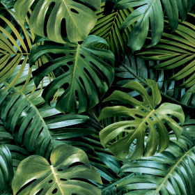 Обои «Living Wall»