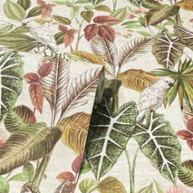 Обои «Vintage Parrot»